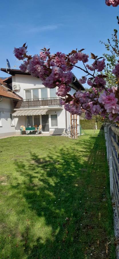 Apartmaji Mojca Krize Luaran gambar