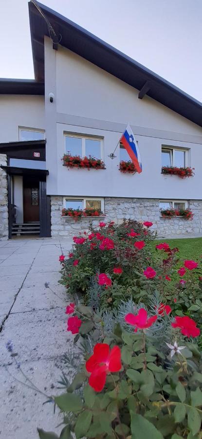 Apartmaji Mojca Krize Luaran gambar