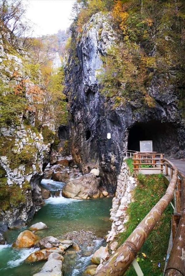 Apartmaji Mojca Krize Luaran gambar