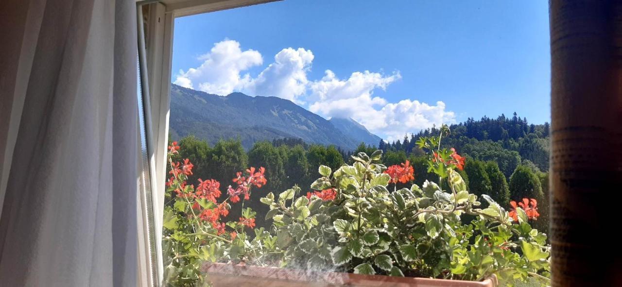 Apartmaji Mojca Krize Luaran gambar