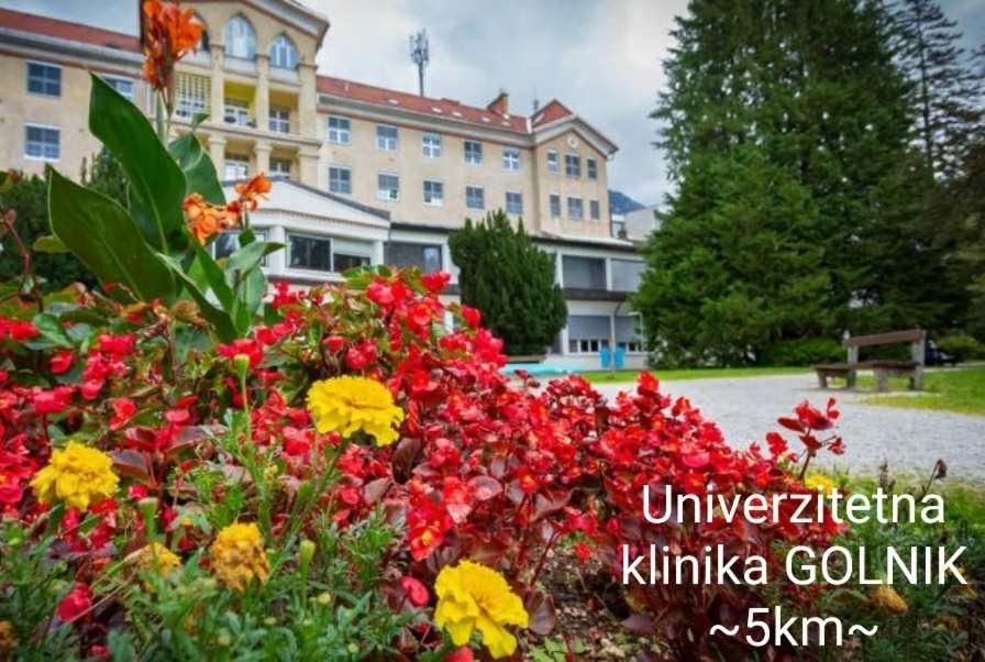 Apartmaji Mojca Krize Luaran gambar