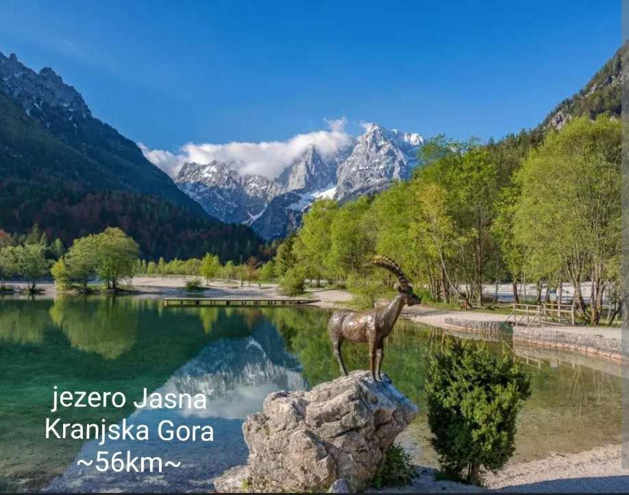 Apartmaji Mojca Krize Luaran gambar